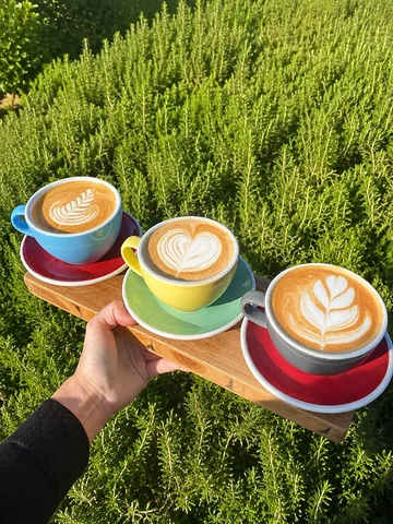 Three coffees ready to share outdoors